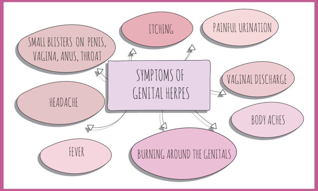 Genital herpes symptoms