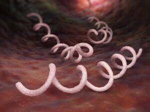 Syphilis