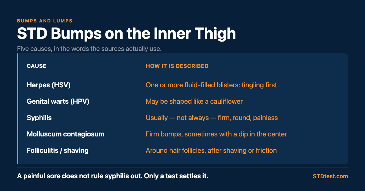 Causes of inner-thigh bumps as the sources describe them. Herpes: one or more fluid-filled blisters, with tingling first. Genital warts: may be shaped like a cauliflower. Syphilis: usually, but not always, firm, round and painless. Molluscum contagiosum: firm bumps, sometimes with a dip in the center. Folliculitis or shaving bumps: around hair follicles after shaving or friction. A painful sore does not rule syphilis out; only a test settles it.